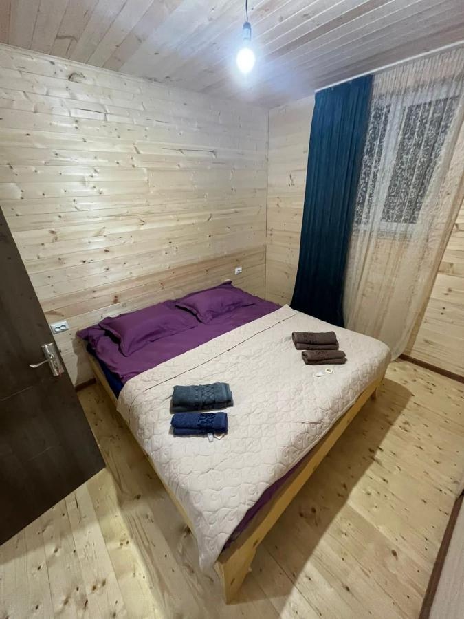 Guest House Caucasioni Adishi Екстериор снимка