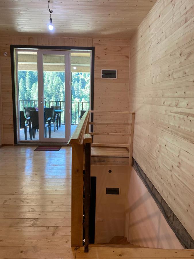 Guest House Caucasioni Adishi Екстериор снимка