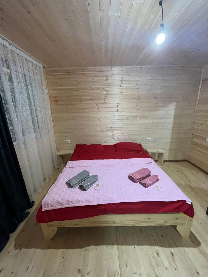 Guest House Caucasioni Adishi Екстериор снимка
